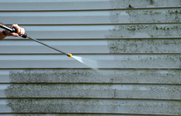 Best Patio and Deck Pressure Washing  in Edwardsville, KS